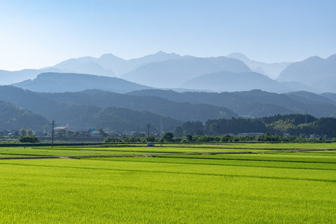 Tsubame-Sanjo, Prefettura di Niigata