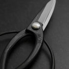Black Musashi Ueki Pruning Shears / Garden Scissors Round Blue Steel #2 Forged Handmade 200mm-[Musashi]-[Japanese-Kitchen-Knives]