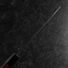 Bunka Stainless Clad Blue Steel #2 Kurouchi Purple Urushi Handle 170mm (6.7”)-[Musashi]-[Japanese-Kitchen-Knives]