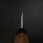 Deba Blue Steel #2 Kasumi Walnut Handle 210mm (8.3”)-[Musashi]-[Japanese-Kitchen-Knives]