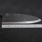 Deba Blue Steel #2 Kurouchi Buffalo Ebony Handle 300mm - Thick-[Musashi]-[Japanese-Kitchen-Knives]