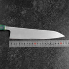 Gyuto AUS-8 Polished Ocean Green Handle 210mm (8.3”)-[Musashi]-[Japanese-Kitchen-Knives]