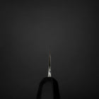 Gyuto Blue Steel #2 Kurouchi Stainless Clad Chokin Sakura-Fuji Buffalo Ebony Handle 210mm (8.3”)-[Musashi]-[Japanese-Kitchen-Knives]