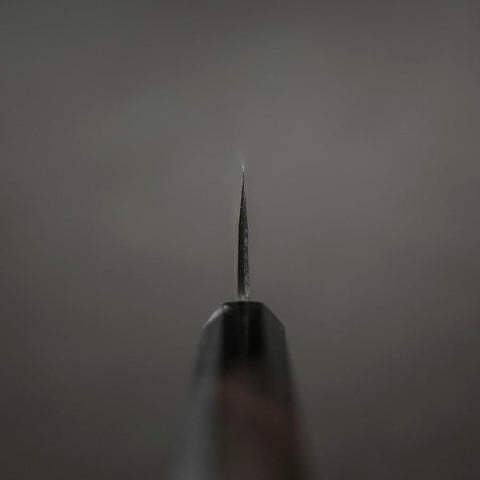 Gyuto Blue Steel #2 Chokin Kurouchi Sakura Fuji Buffalo Ebony Handle 210mm-[Musashi]-[Japanese-Kitchen-Knives]