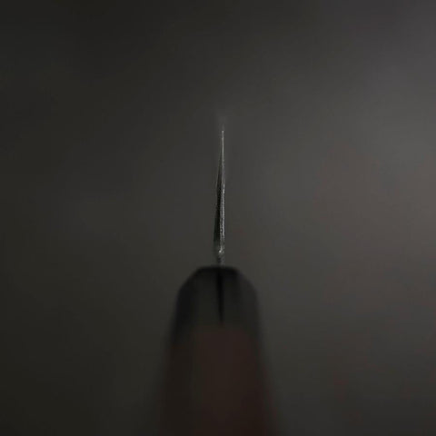 Gyuto Blue Steel #2 Kurouchi Buffalo Ebony Handle 210mm-[Musashi]-[Japanese-Kitchen-Knives]