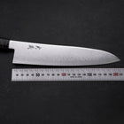 Gyuto VG-10 Damascus Gray Birch Handle 210mm-[Musashi]-[Japanese-Kitchen-Knives]