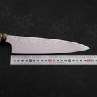 Gyuto ZA-18 Damascus Ceramics Dragon Handle 210mm-[Musashi]-[Japanese-Kitchen-Knives]