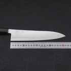 Gyuto ZDP-189 Polished Buffalo Chestnuts Handle 210mm-[Musashi]-[Japanese-Kitchen-Knives]