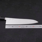Gyuto ZDP-189 Polished Buffalo Chestnuts Handle 240mm-[Musashi]-[Japanese-Kitchen-Knives]