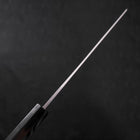 Kiritsuke Blue Steel #2 Damascus Buffalo Ebony Handle 210mm-[Musashi]-[Japanese-Kitchen-Knives]