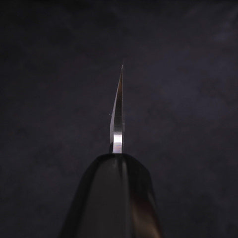 Kiritsuke Blue Steel #2 Kasumi Buffalo Magnolia Handle 240mm-[Musashi]-[Japanese-Kitchen-Knives]