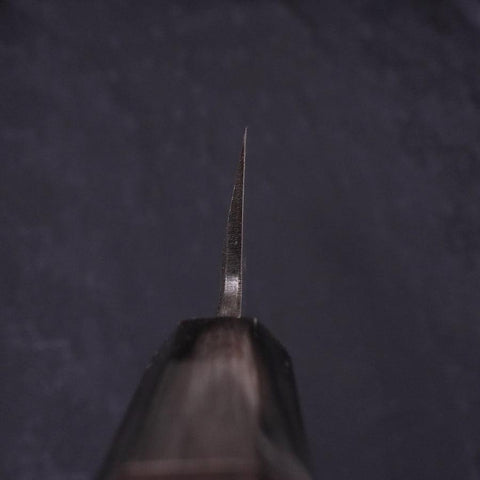 Kiritsuke Blue Steel #2 Suminagashi Buffalo Ebony Handle 270mm-[Musashi]-[Japanese-Kitchen-Knives]