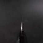 Kiritsuke Gyuto VG-10 Mirror Buffalo Ebony Handle 240mm-[Musashi]-[Japanese-Kitchen-Knives]