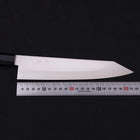 Kiritsuke Gyuto ZDP-189 Polished Buffalo Ebony Handle 210mm-[Musashi]-[Japanese-Kitchen-Knives]