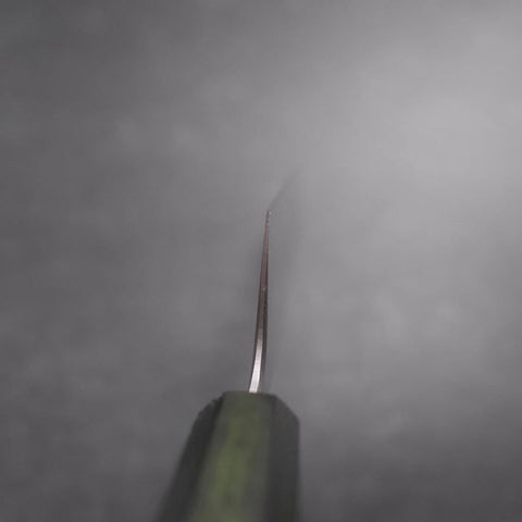 Kiritsuke SLD Polished Green Urushi Handle 240mm-[Musashi]-[Japanese-Kitchen-Knives]