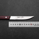 Steak knife VG-10 Tsuchime Mahogany Handle 110mm-[Musashi]-[Japanese-Kitchen-Knives]