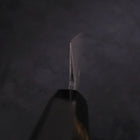 Sujihiki Blue Steel #2 Damascus Buffalo Ebony Handle 270mm-[Musashi]-[Japanese-Kitchen-Knives]