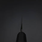 Yanagiba Blue Steel #2 Tsuchime Kurouchi Buffalo Ebony Handle 260mm-[Musashi]-[Japanese-Kitchen-Knives]