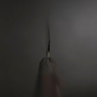 Yanagiba Blue Steel #2 Damascus Buffalo Ebony Handle 210mm-[Musashi]-[Japanese-Kitchen-Knives]