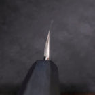 Yanagiba Blue Steel #2 Kasumi Dark-Blue Urushi Handle 270mm-[Musashi]-[Japanese-Kitchen-Knives]