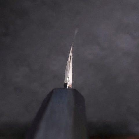 Yanagiba Blue Steel #2 Kasumi Dark-Blue Urushi Handle 270mm-[Musashi]-[Japanese-Kitchen-Knives]