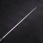 Yanagiba Blue Steel #2 Kasumi Dark-Blue Urushi Handle 270mm-[Musashi]-[Japanese-Kitchen-Knives]