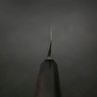 Yanagiba Blue Steel #2 Suminagashi Buffalo Ebony Handle 300mm-[Musashi]-[Japanese-Kitchen-Knives]