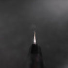 Yanagiba VG-10 Kasumi Buffalo Ebony Handle 300mm-[Musashi]-[Japanese-Kitchen-Knives]
