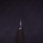 Yanagiba White Steel #1 Ebony Handle 300mm-[Musashi]-[Japanese-Kitchen-Knives]